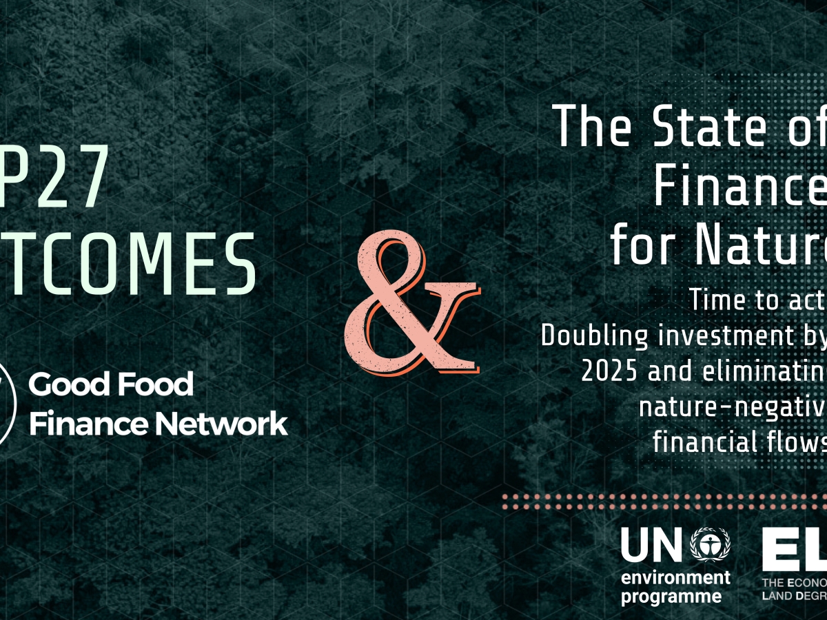 GFFN addressing the finance gap during COP27: Now analyzed in UNEP’s newest State of Finance for Nature Report