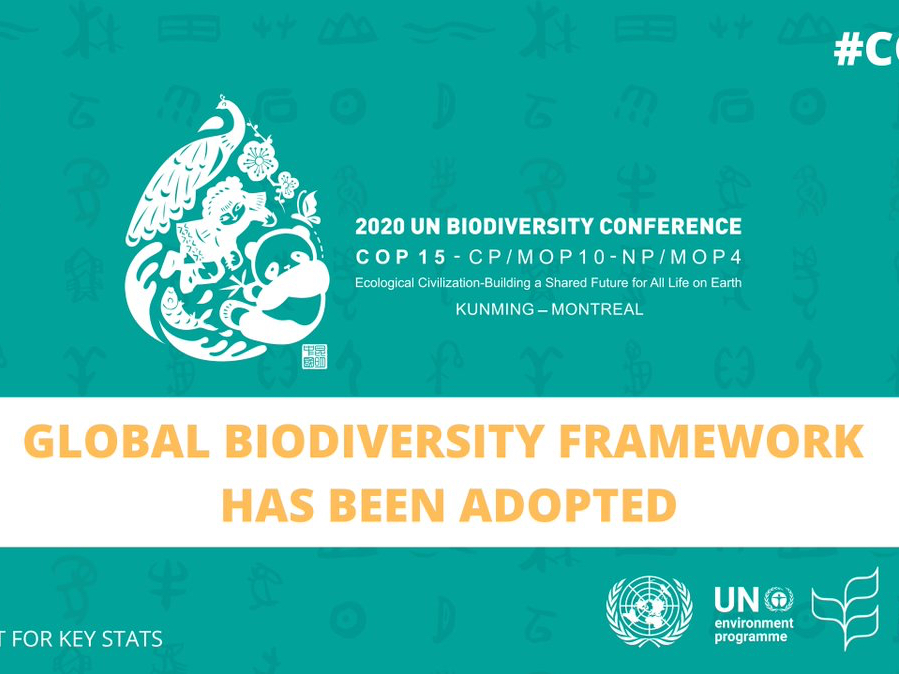 CBD COP15 Kunming-Montreal Global biodiversity framework: Draft decision submitted by the President